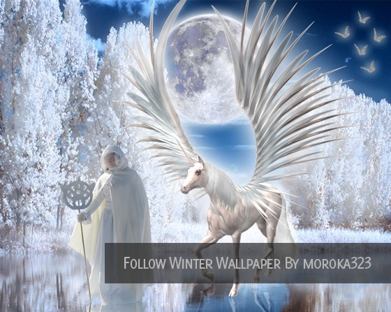 winter scene wallpaper. Follow Winter Wallpaper by