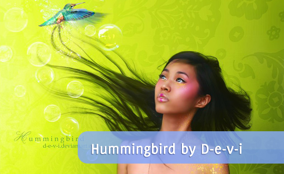 hummingbird amazing photo manipulation people photoshop 101 Photo Manipulation Works You Will Really love it