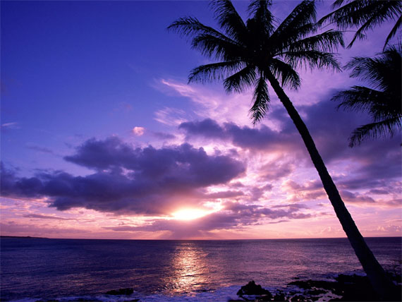 paradise wallpapers. Tahitian Paradise