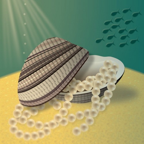 clam vector