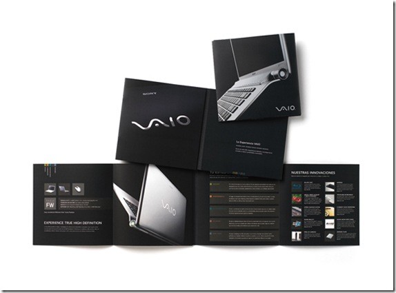 vaio two 001