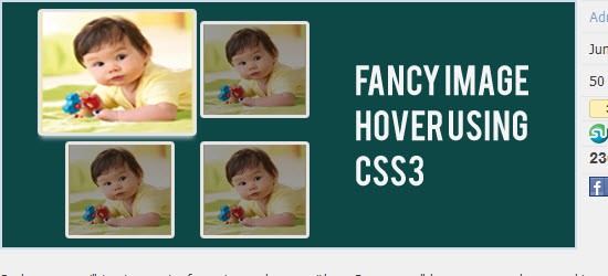 Fancy Image Hover Using CSS3