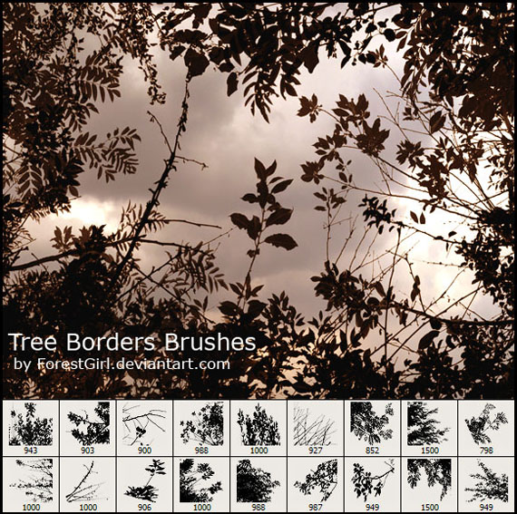 Tree_borders_brushes_by_forestgirl-d2y7gvj