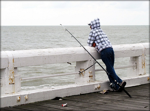 Patiently waiting for his Dinner, Ostend Belgium