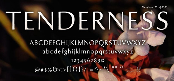 tenderness-typeface-free-high-quality-font-for-download