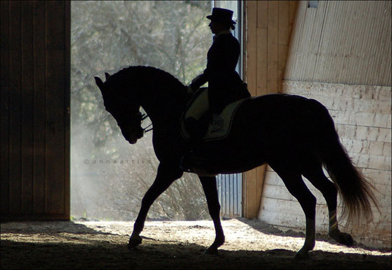 Silhouette_of_a_horse_by_attlid