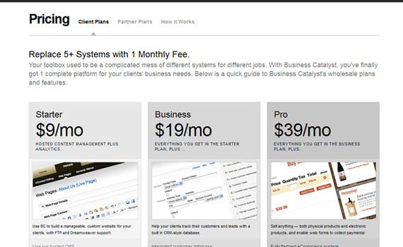 Business-catalyst-pricing-charts-best-examples-tips-inspiration