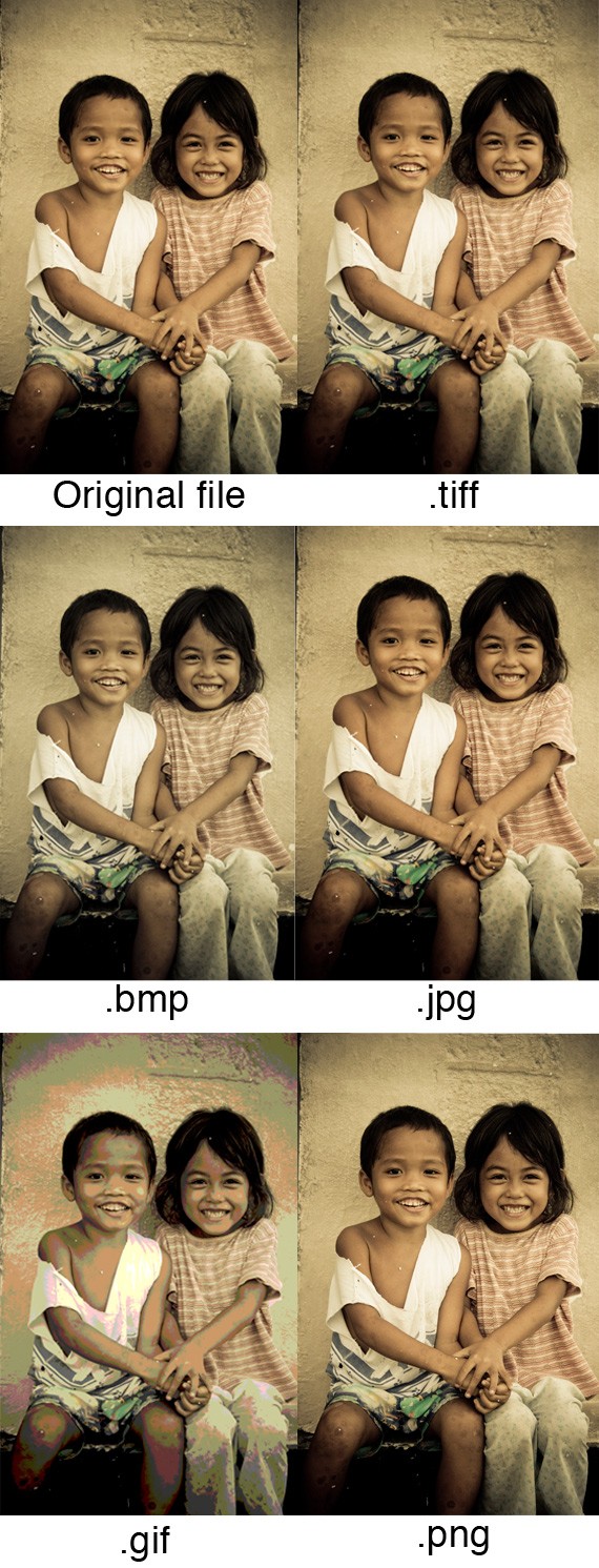 Image File Types: Top 5 Types Of Picture Formats