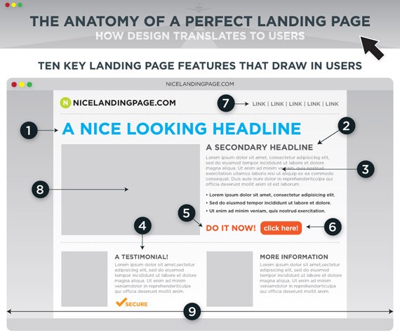 Anatomy landing pages