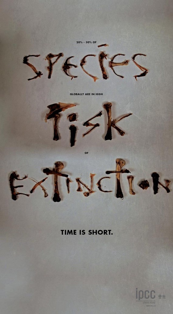 Species Risk Extinction