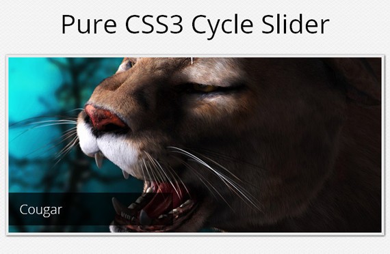 A Pure CSS3 Cycling Slideshow