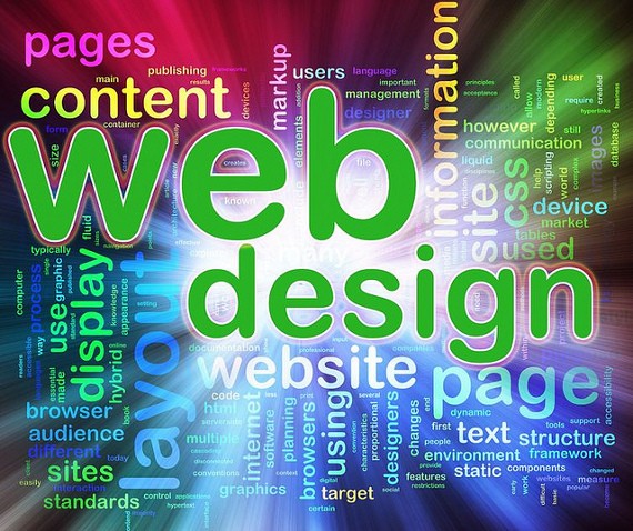 Tampa web designer