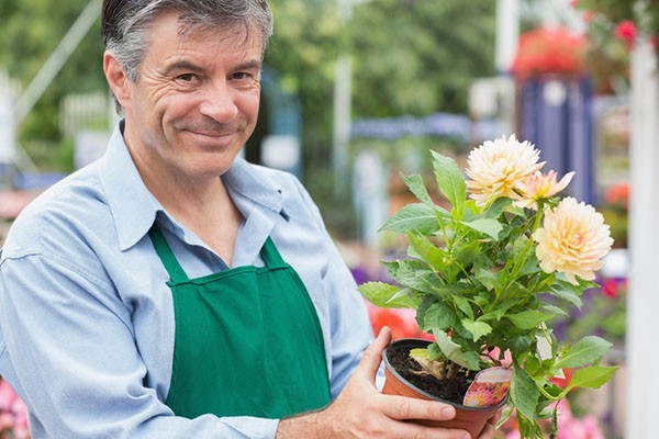 Male florist holding a flower while smiling