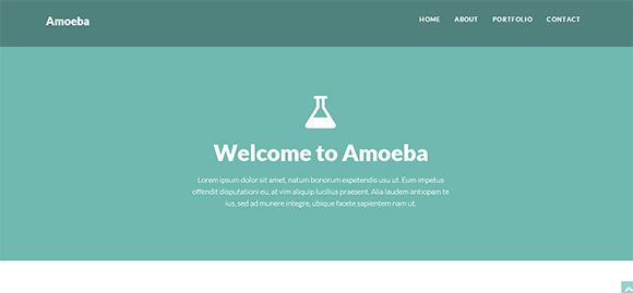 free responive web template html css Amoeba