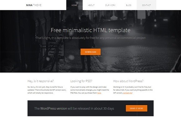 free responive web template html css Nina