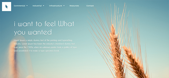 free responive web template html css Organic