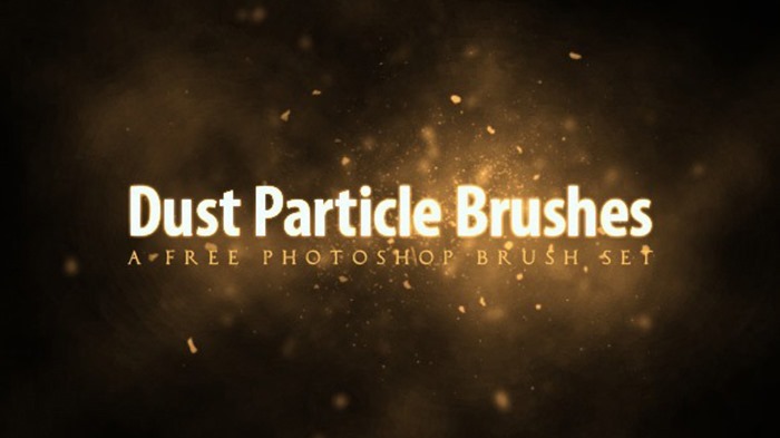 Dust Particle Brush Set