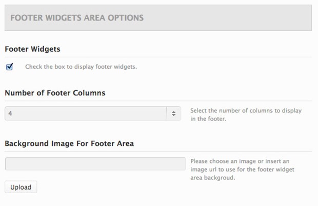 Footer Option
