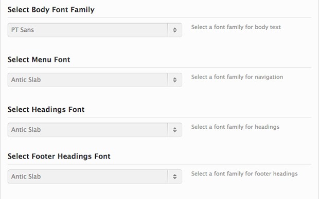 Typography Option