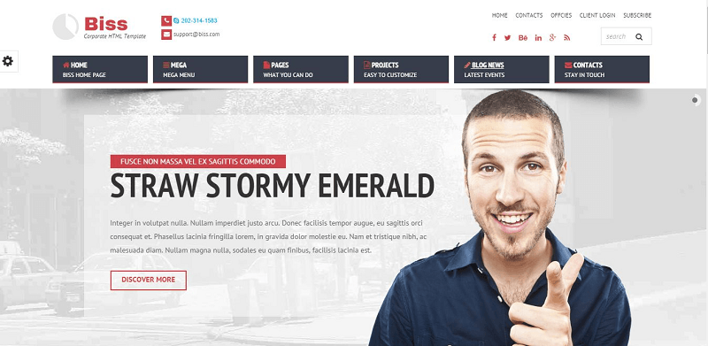 2015_03_21_10_13_18_Homepage_Biss_HTML5_CSS3_Template
