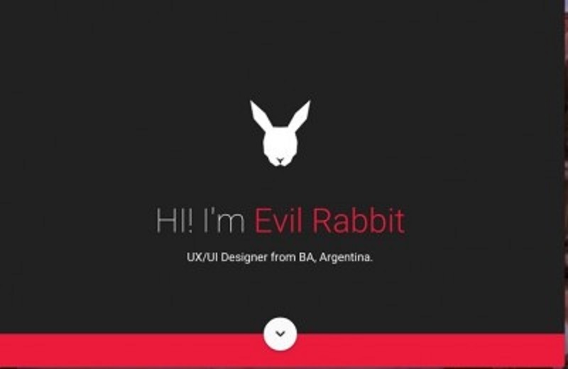 evil rabbit