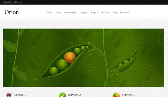 Orion free wordpress theme