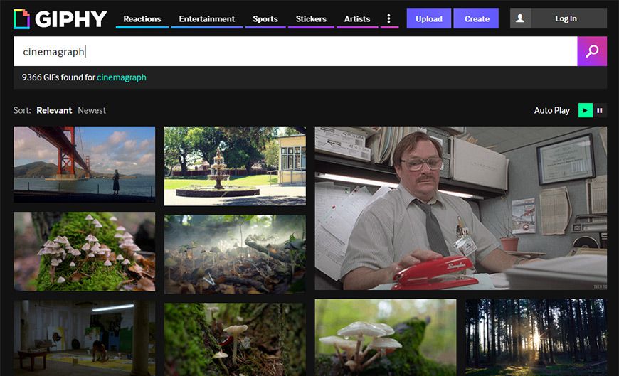 giphy cinemagraphs