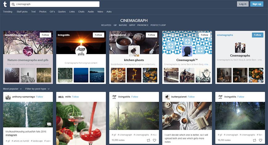 tumblr cinemagraphs