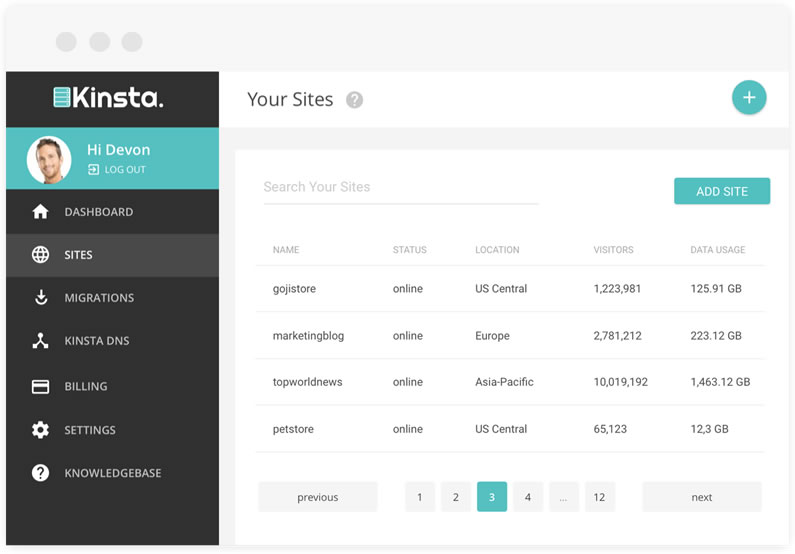 Kinsta dashboard