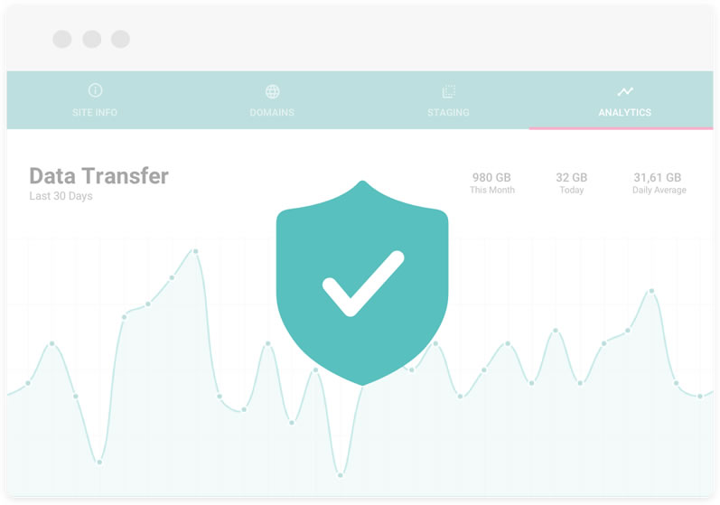 Kinsta Security