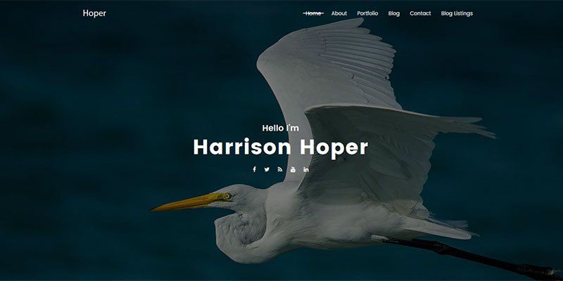 Hoper WordPress Theme