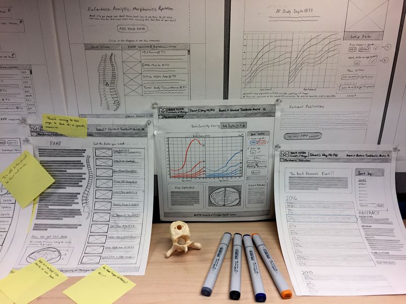 Morphomics Website Mid Fidelity Wireframe