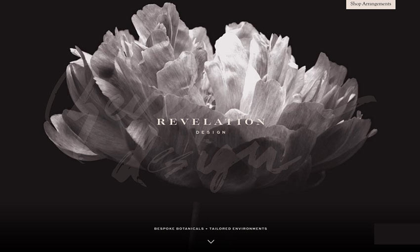 Screen capture from Revelation Design