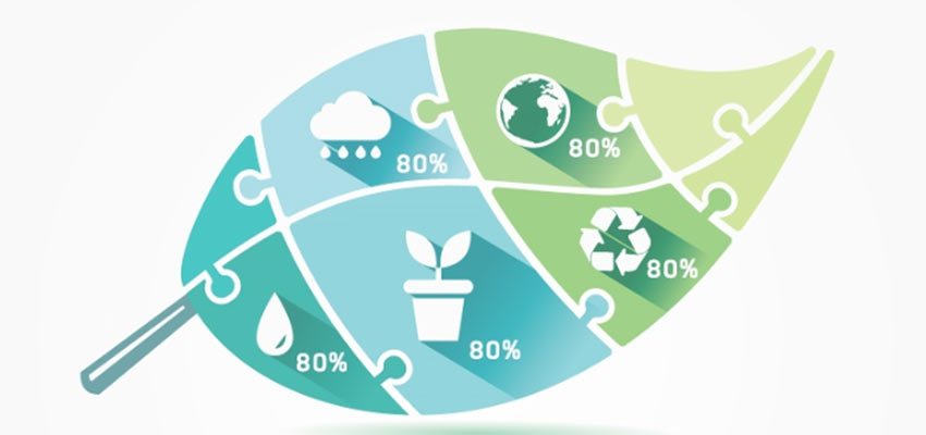 Outdoors - Leaf Infographic Vector