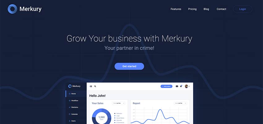 Merkury Business Template