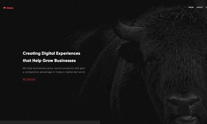 Bison Studio dark web design