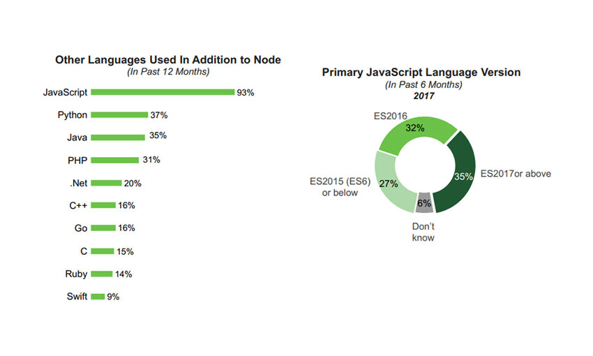 Node.js User Survey