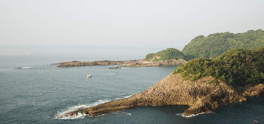 A rocky coastline.