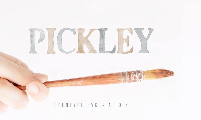 Example of Pickley by Lef