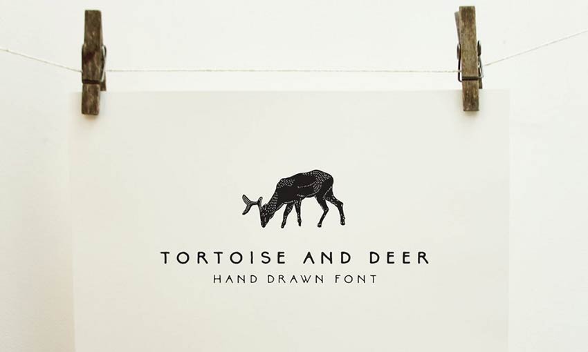 Example of Tortoise and Deer by Emma Make