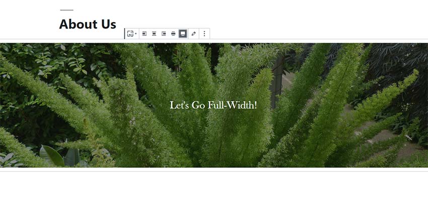A full-width Cover block in the Gutenberg editor.