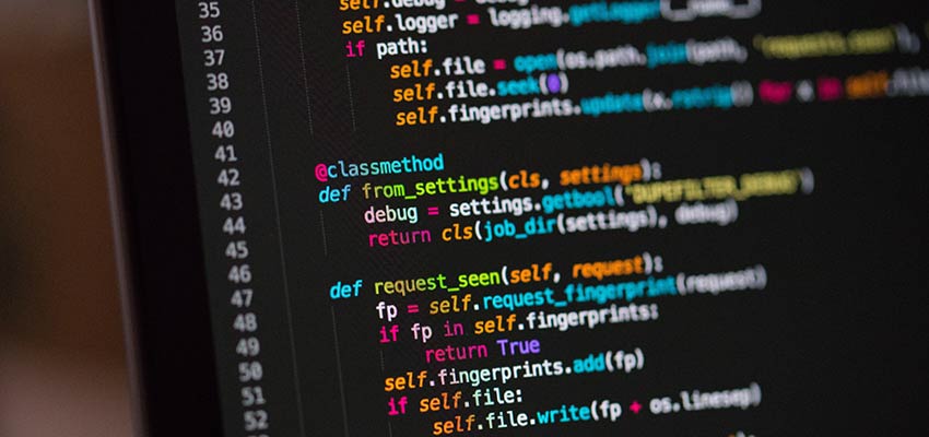 JavaScript code on a screen - WordPress Skills