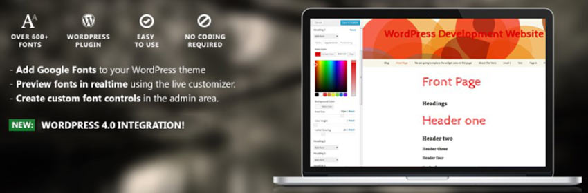 Easy Google Fonts WordPress Plugin