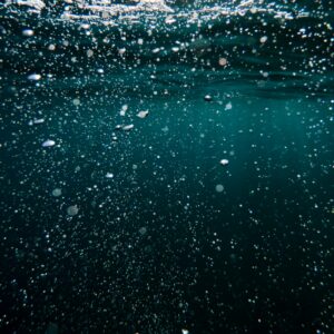 underwater enviroment